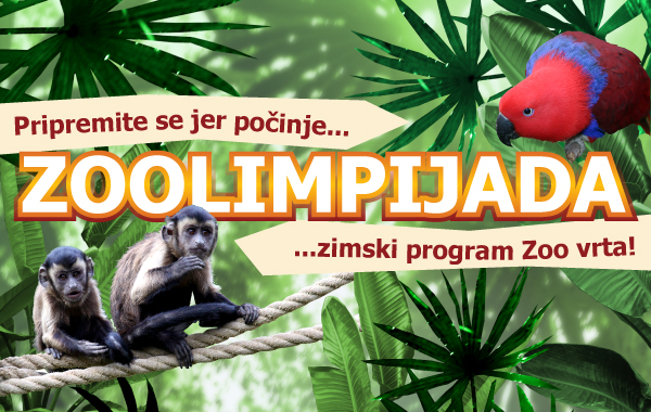 On Saturday 30.11. begin enrollment in Zoolimpycs