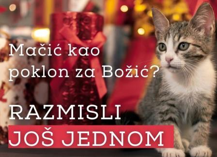 Umjesto blagdanske kupnje životinja prijatelji životinja pozivaju na udomljavanje 