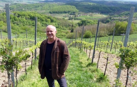 Vinogradi s pogledom u petak  12. lipnja  2026. u Vinariji Kota